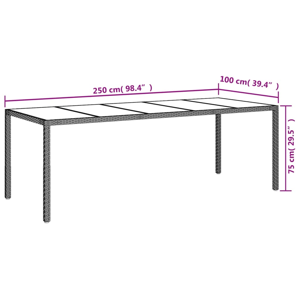 Gartentisch Schwarz 250x100x75 cm Gehärtetes Glas Poly Rattan