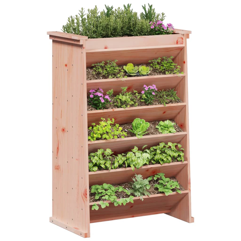 Vertikalbeet mit 6 Fächern 69x40x101,5 cm Massivholz Douglasie